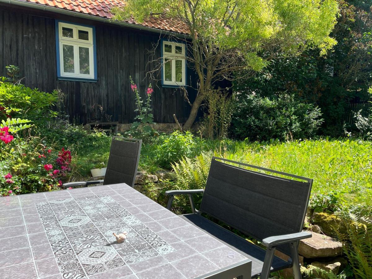 הוילה בלאנקנבורג "Kleinstes Haus Von Blankenburg" Urlaub In Einem Einzigartigen Baudenkmal מראה חיצוני תמונה