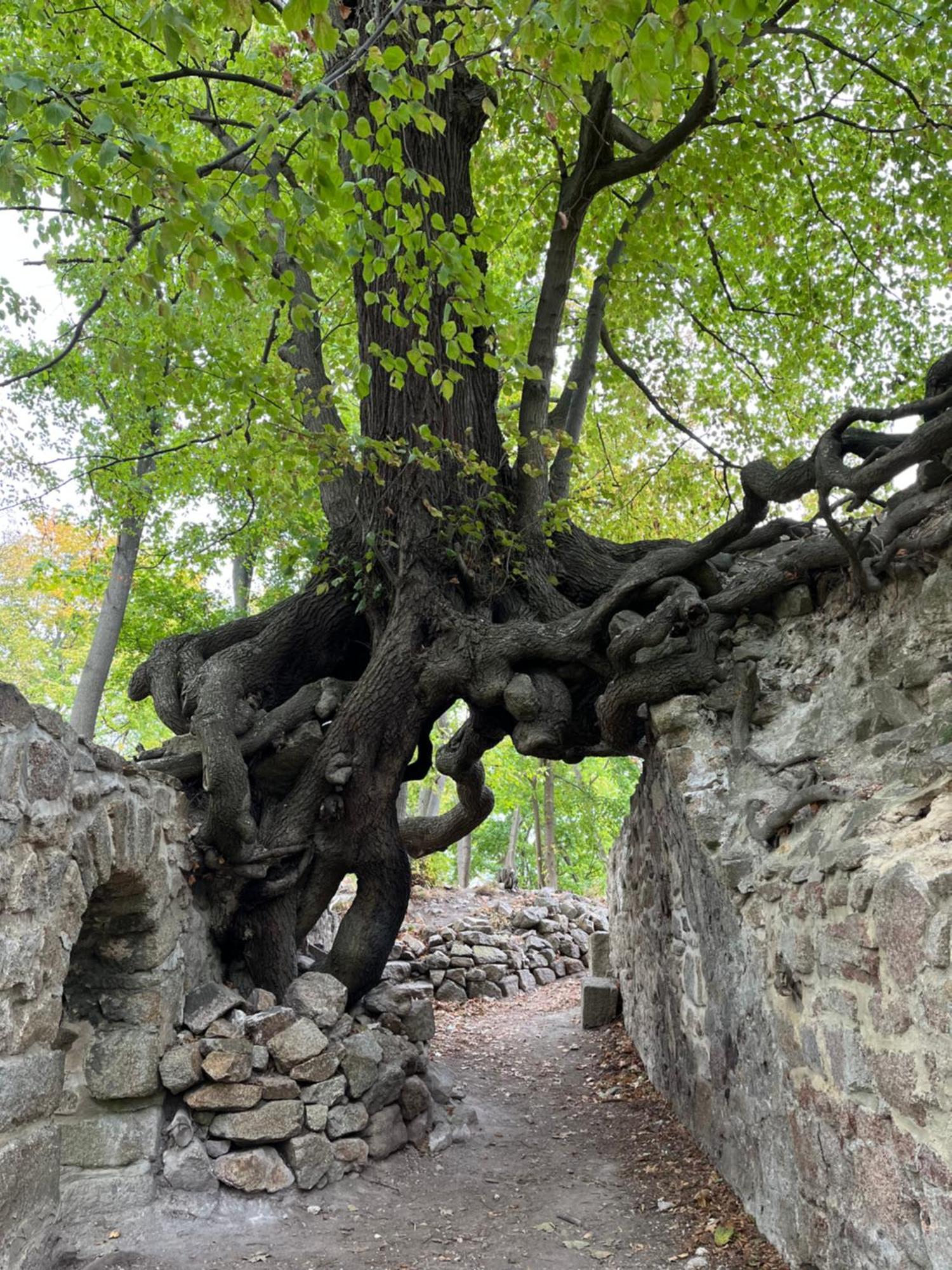 הוילה בלאנקנבורג "Kleinstes Haus Von Blankenburg" Urlaub In Einem Einzigartigen Baudenkmal מראה חיצוני תמונה